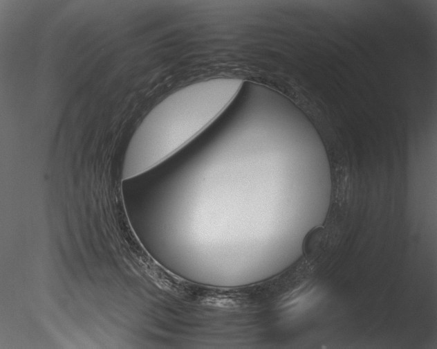 X0000085780655200703161001