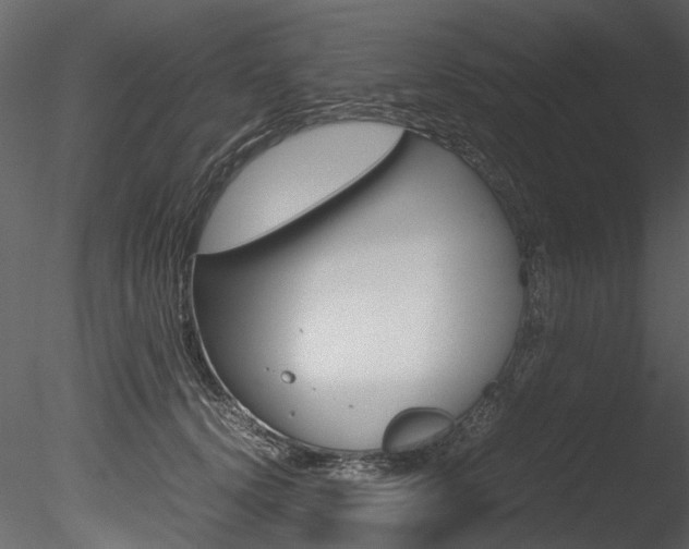 X0000085780656200703161001