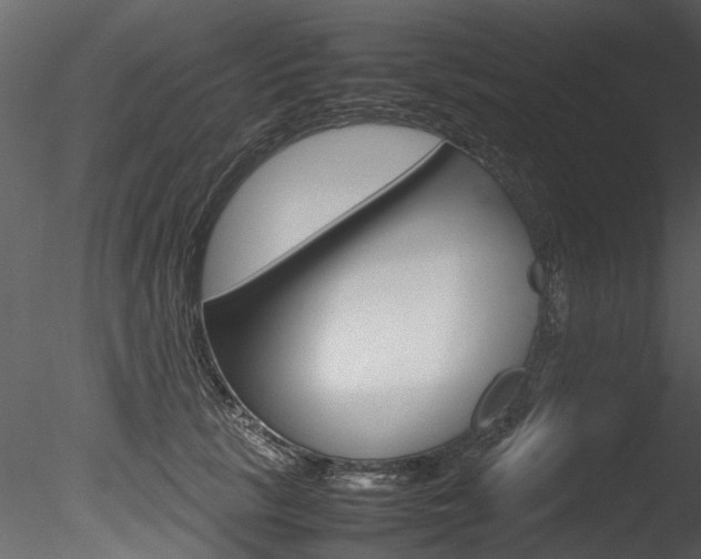 X0000085780657200703161001