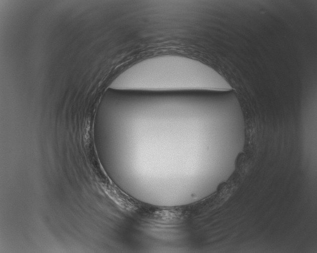 X0000085780660200703161001