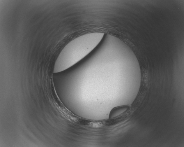 X0000085780662200703161001