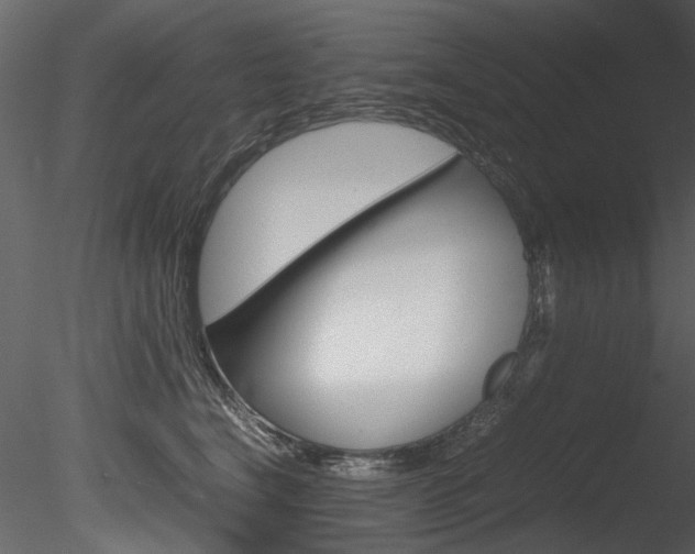 X0000085780664200703161001