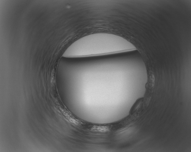 X0000085780665200703161001