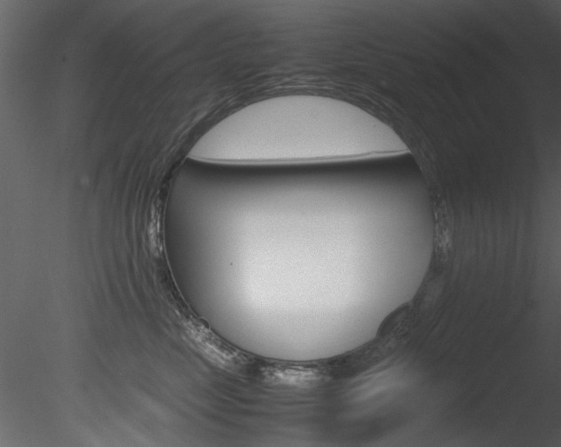 X0000085780669200703161001