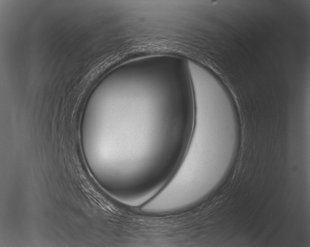 X0000085780673200703161000
