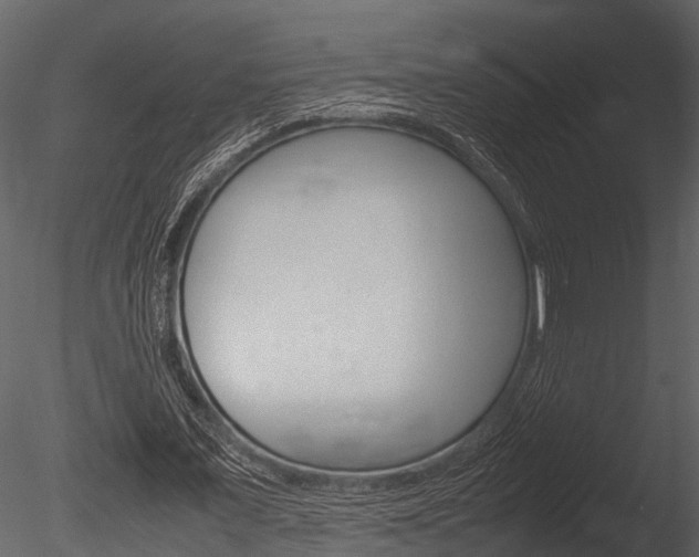 X0000085780675200703161000