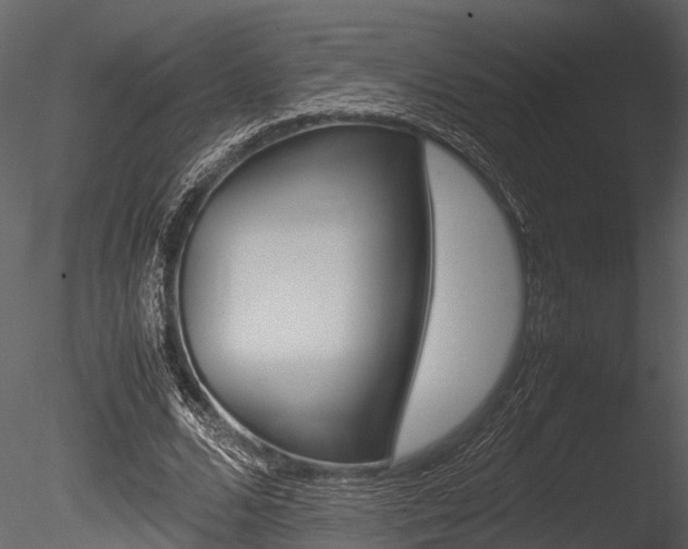 X0000085780680200703161000