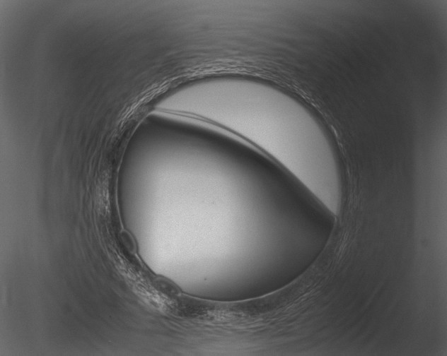 X0000085780681200703161000