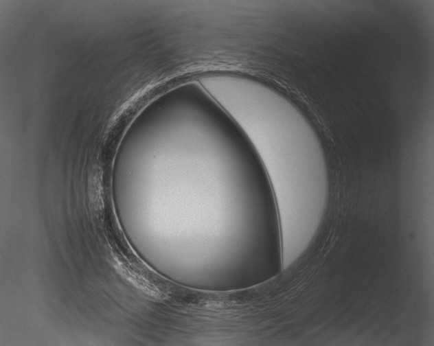 X0000085780684200703161000