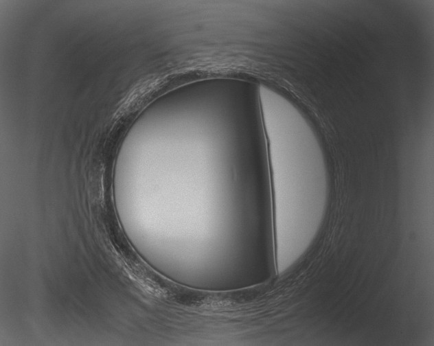 X0000085780685200703161000
