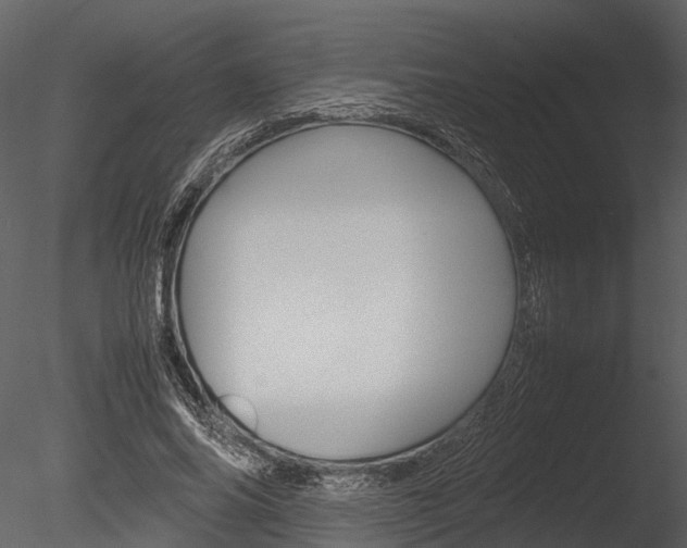 X0000085780686200703161000