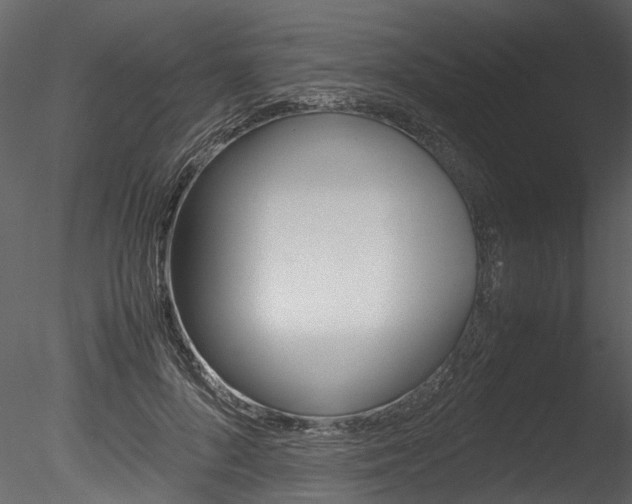 X0000085780696200703161000