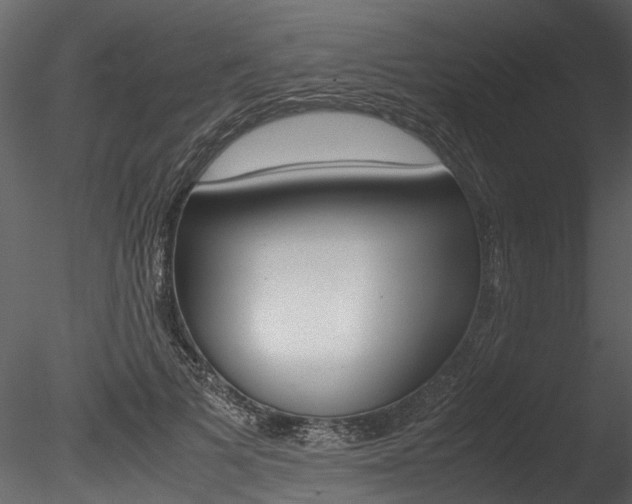 X0000085780697200703161000