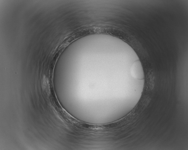 X0000085780698200703161000
