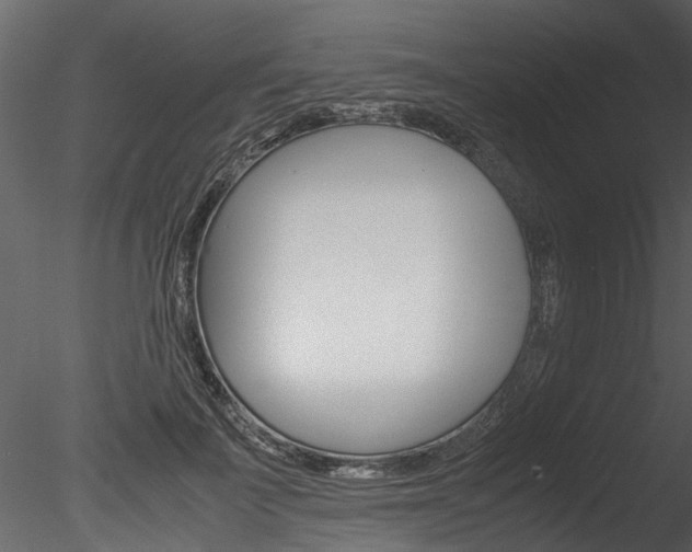 X0000085780699200703161000