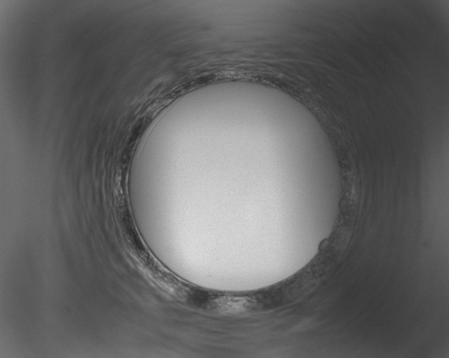 X0000085780711200703160959