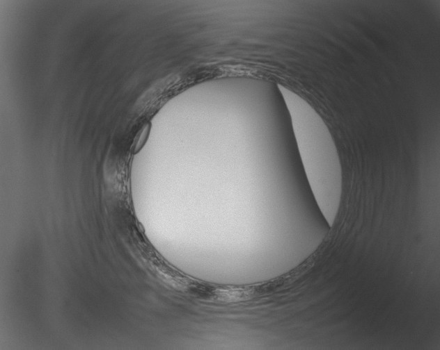X0000085780713200703160959