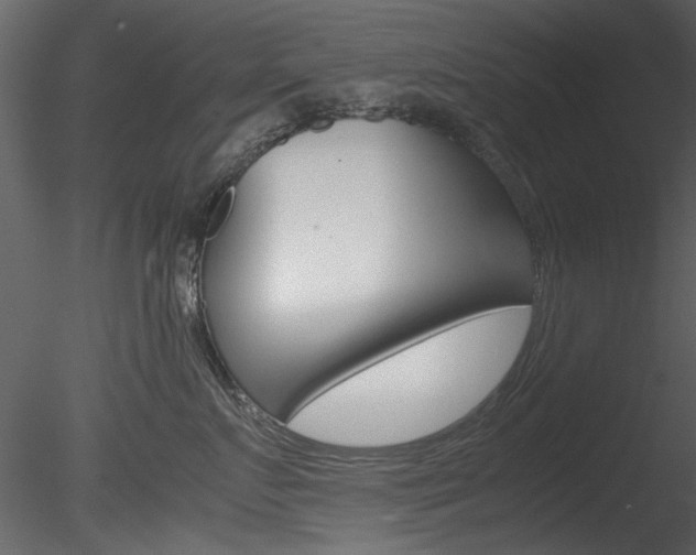 X0000085780719200703160959