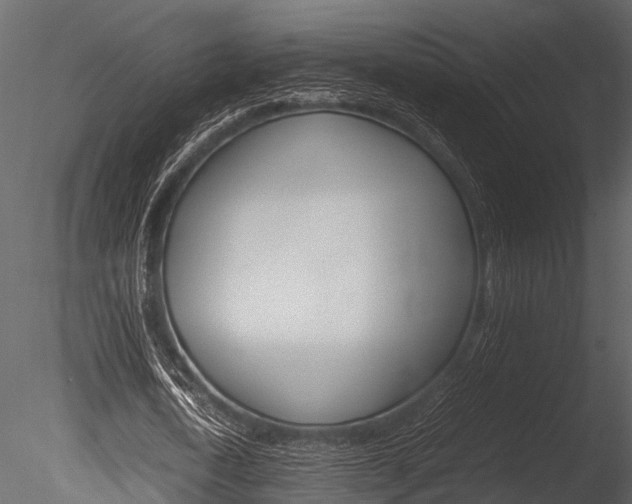 X0000085780722200703160958