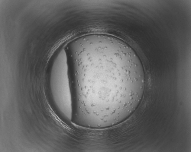 X0000085780725200703160958