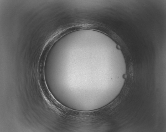 X0000085780730200703160958