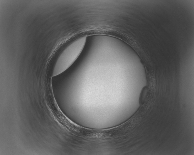 X0000085780736200703160959