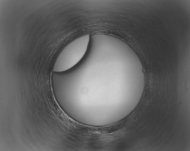 X0000085780737200703160959