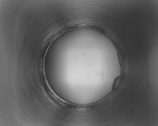 X0000085780740200703160959