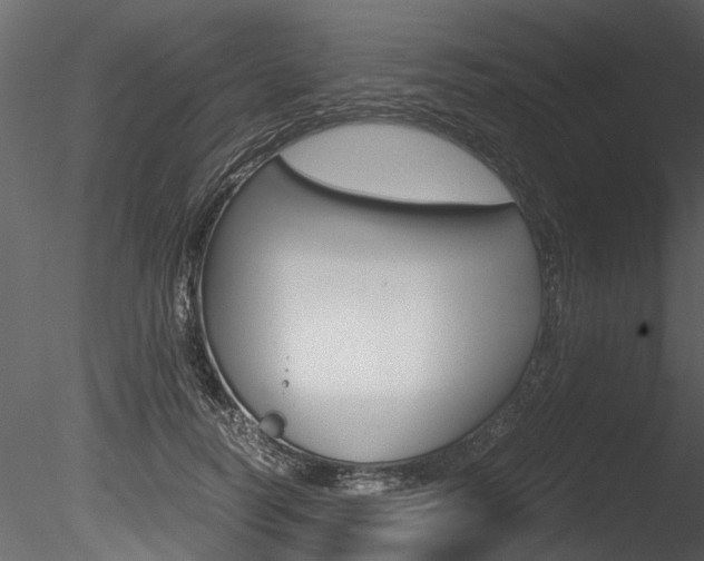 X0000085780746200703160959