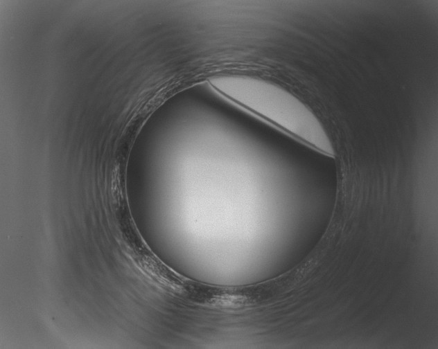 X0000085780748200703160959
