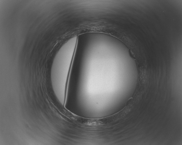 X0000085780752200703160959