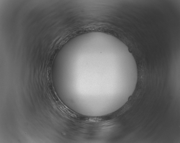 X0000085780758200703160959