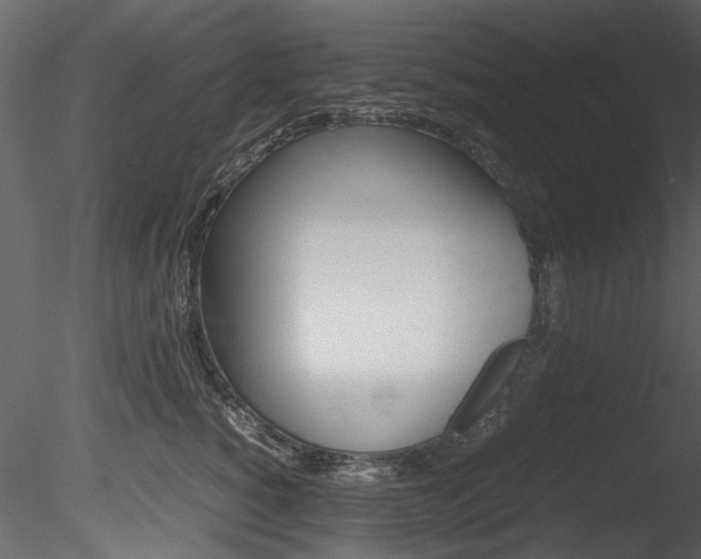 X0000085780760200703160959