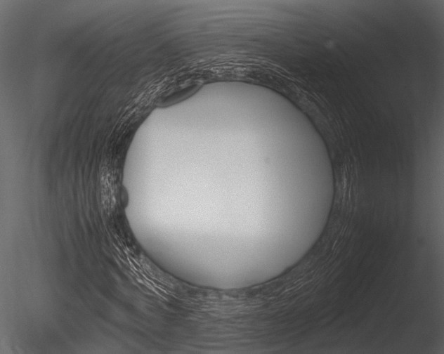 X0000085780772200703160958