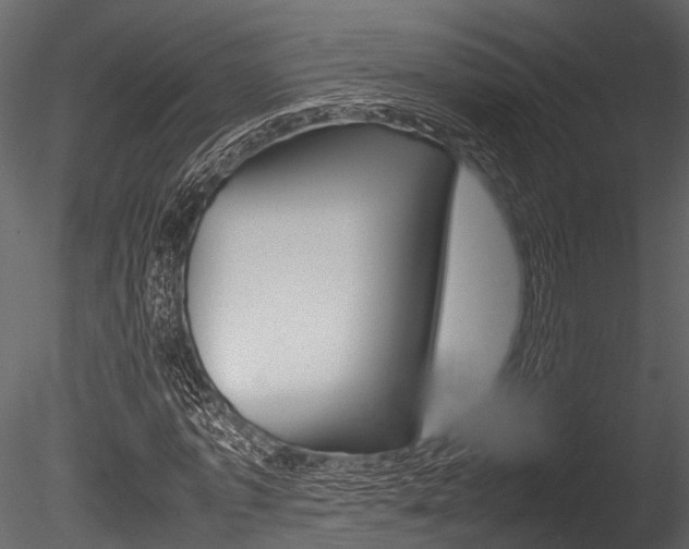X0000085780773200703160958
