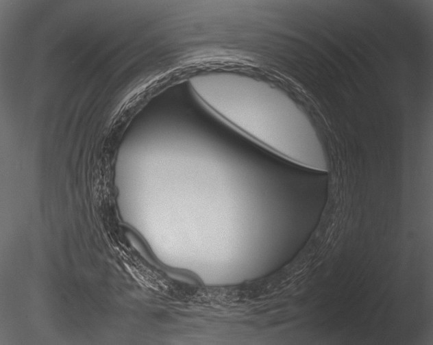 X0000085780775200703160958