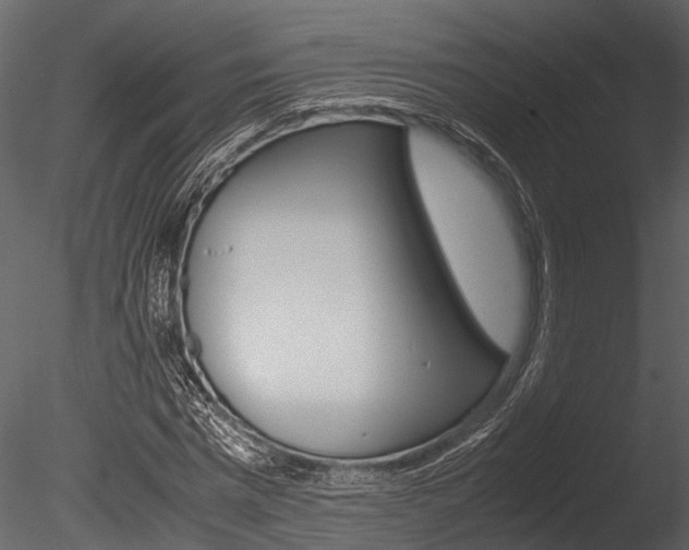 X0000085780777200703160958