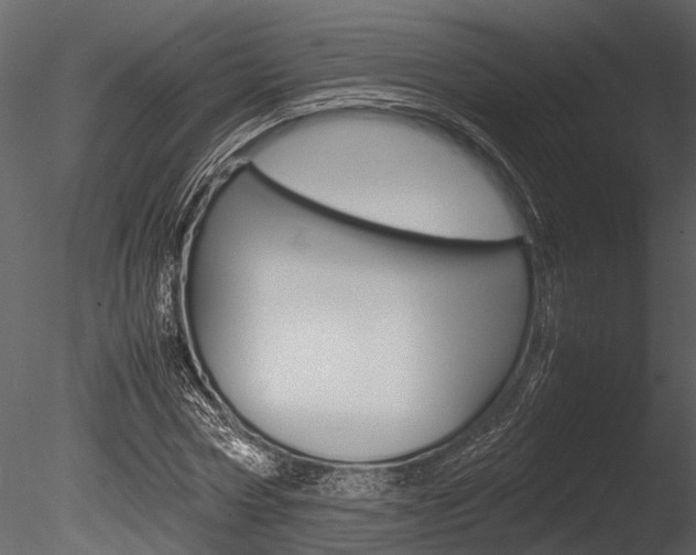 X0000085780778200703160958