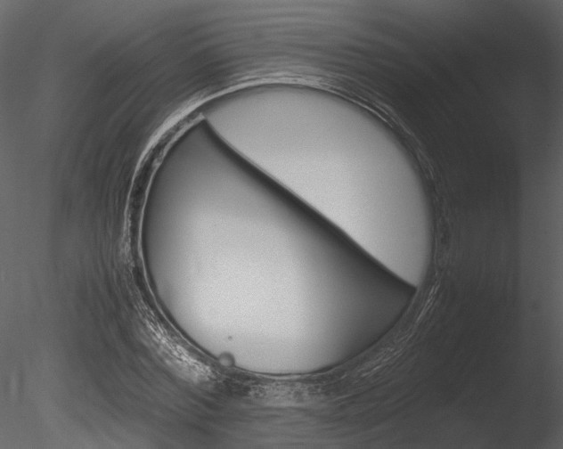 X0000085780780200703160958