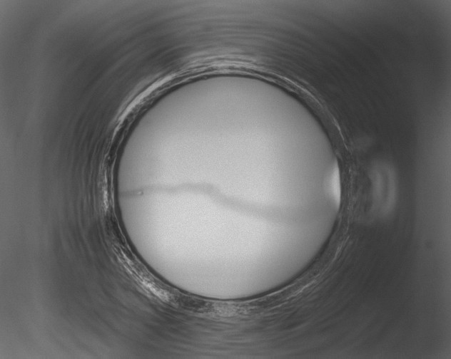 X0000085780782200703160958