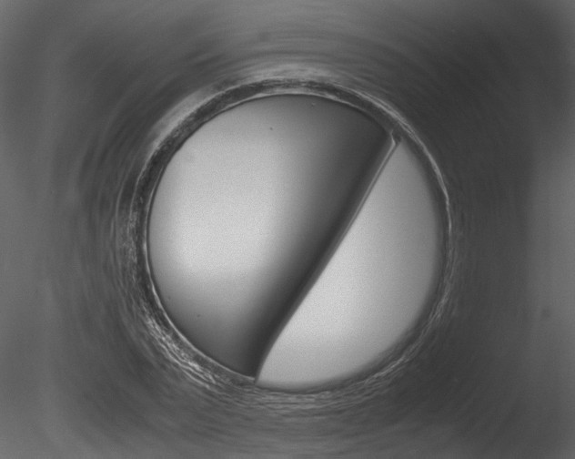 X0000085780783200703160958
