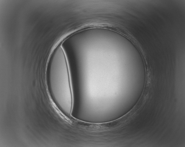 X0000085780795200703160958