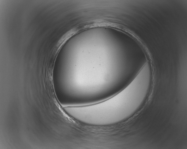 X0000085780809200703160958