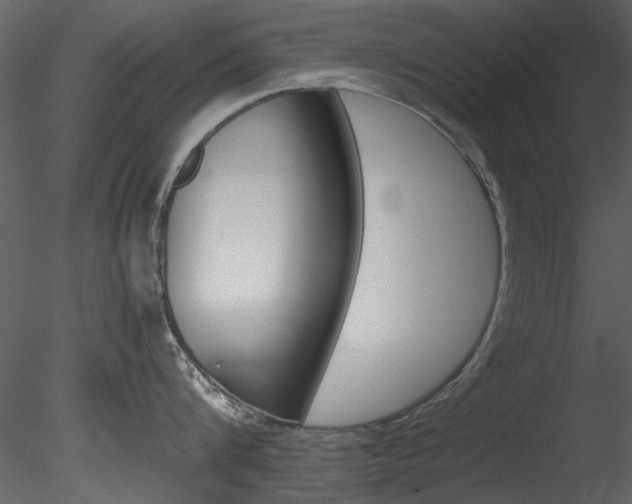 X0000085780816200703160957
