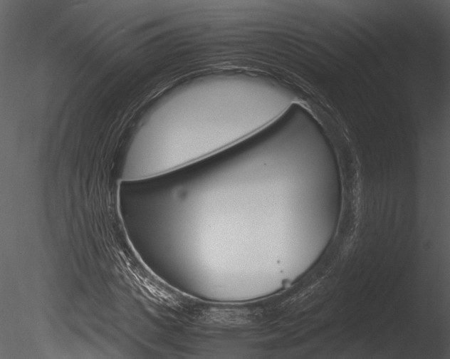 X0000085780825200703160957