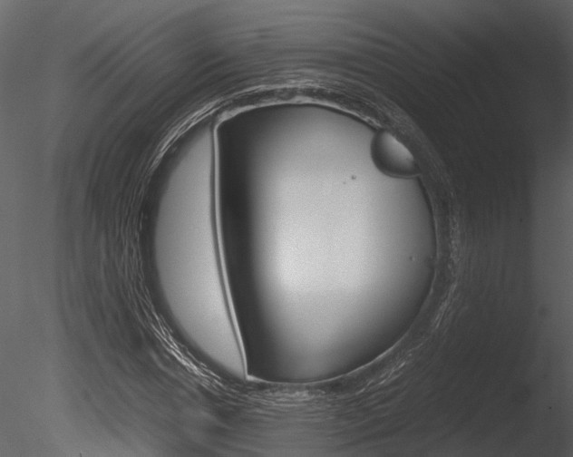 X0000085780826200703160957