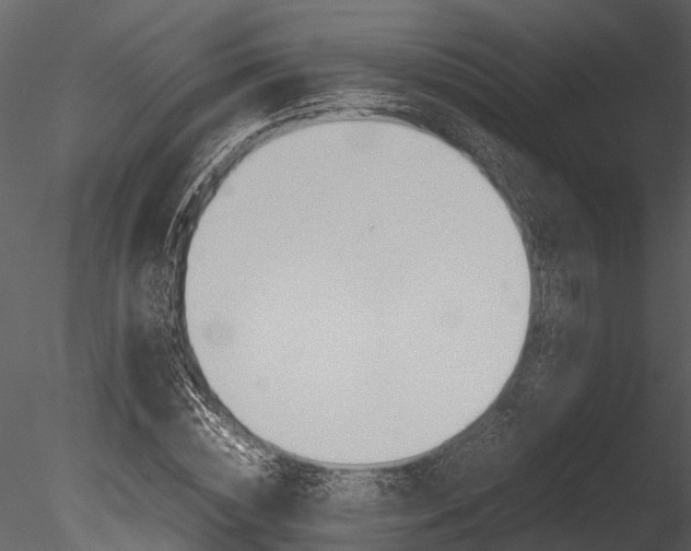 X0000085780828200703160957