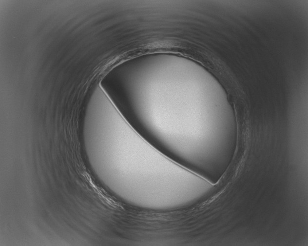 X0000085780833200703160957