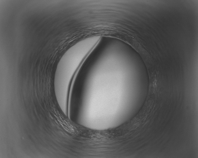 X0000085780868200703160957