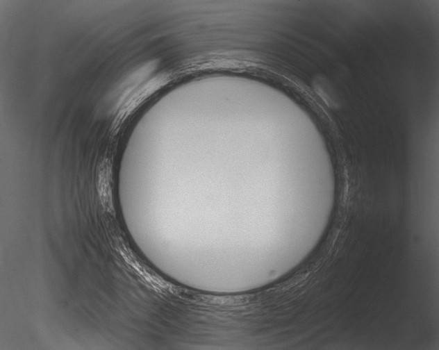 X0000085780874200703160956